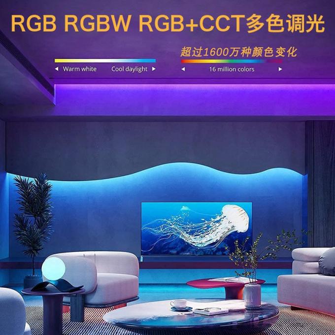 Commercial Magic COB LED Strip Dream Full Color DC 24V indirizzabile 5