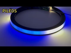 2020 pixel LED NEON Strip